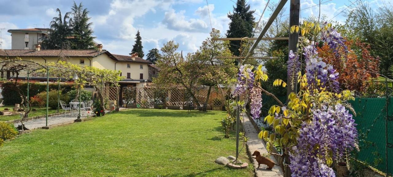 Dragonfly Appartamento Bianca Angera Exterior foto